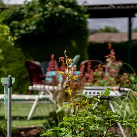 Mit Gartenblick Apartament *