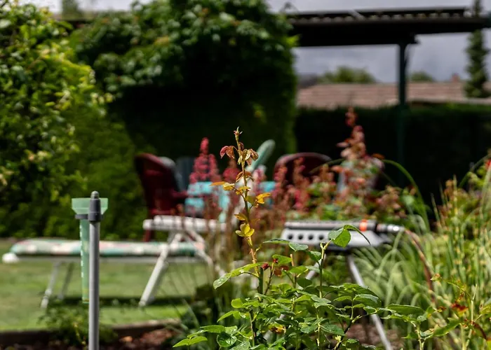 Mit Gartenblick Appartement *